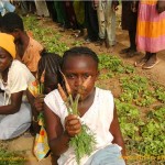 Karotten aus dem Schulgarten in Burkina Faso
